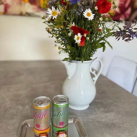 Apartament Im Elbtal Dresden, Meissen, Moritzburg *