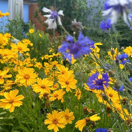 Im Elbtal Dresden, Meissen, Moritzburg Weinböhla