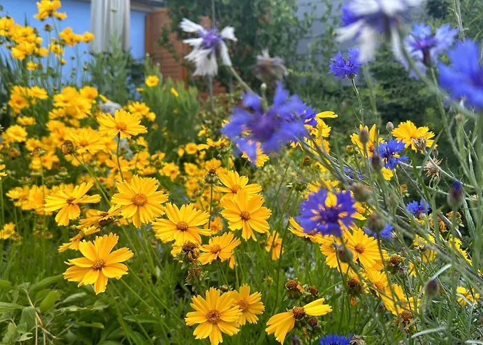 Im Elbtal Dresden, Meissen, Moritzburg Weinboehla